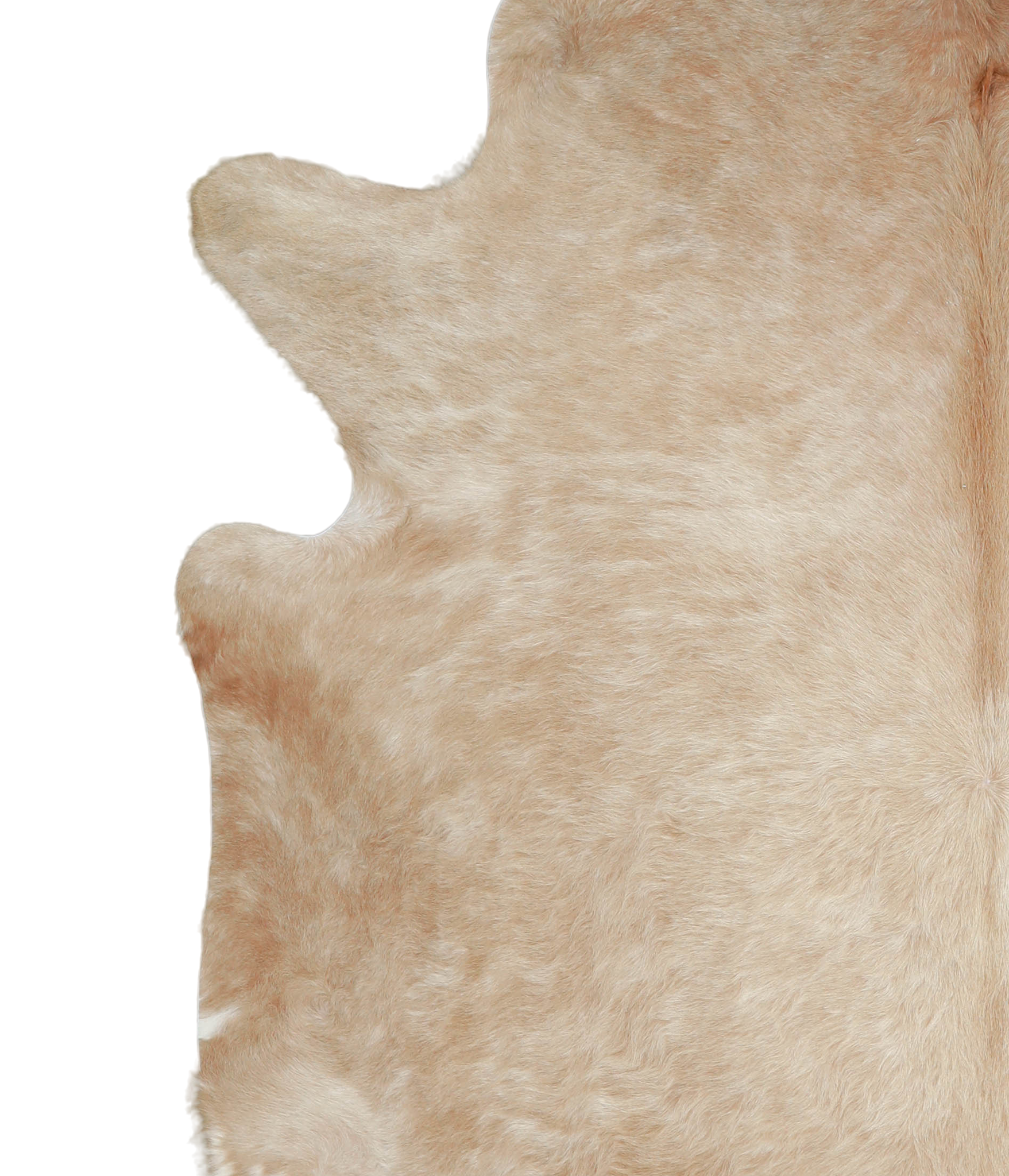 Beige Cowhide Rug #A21155