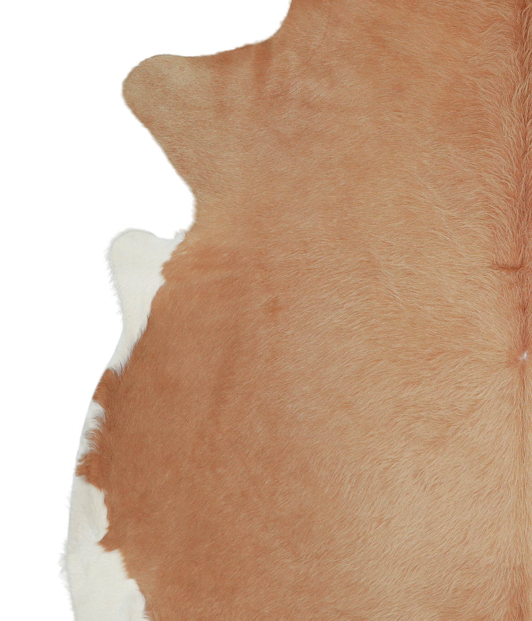 Beige XX-Large Brazilian Cowhide Rug 7'4"H x 7'5"W #A21161 by Hudson H