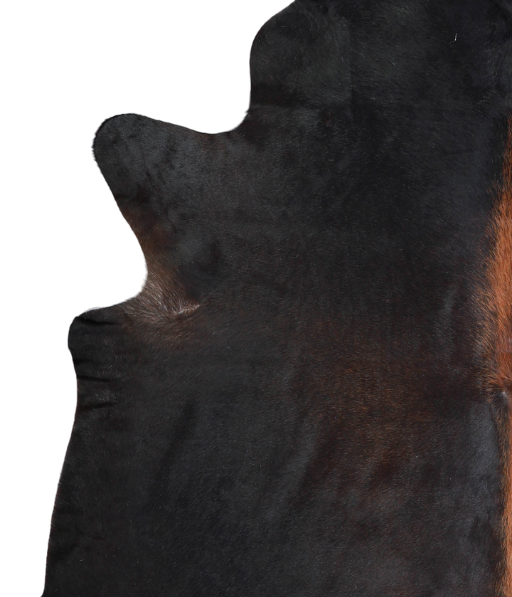 Chocolate XX-Large Brazilian Cowhide Rug 7'5"H x 6'10"W #A21167 by Hudson Hides