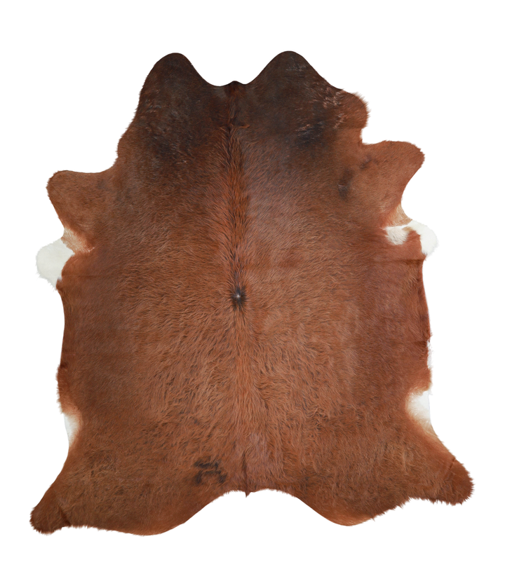 Solid Brown X-Large Brazilian Cowhide Rug 7'1"H x 6'5"W #A21198 by Hudson Hides