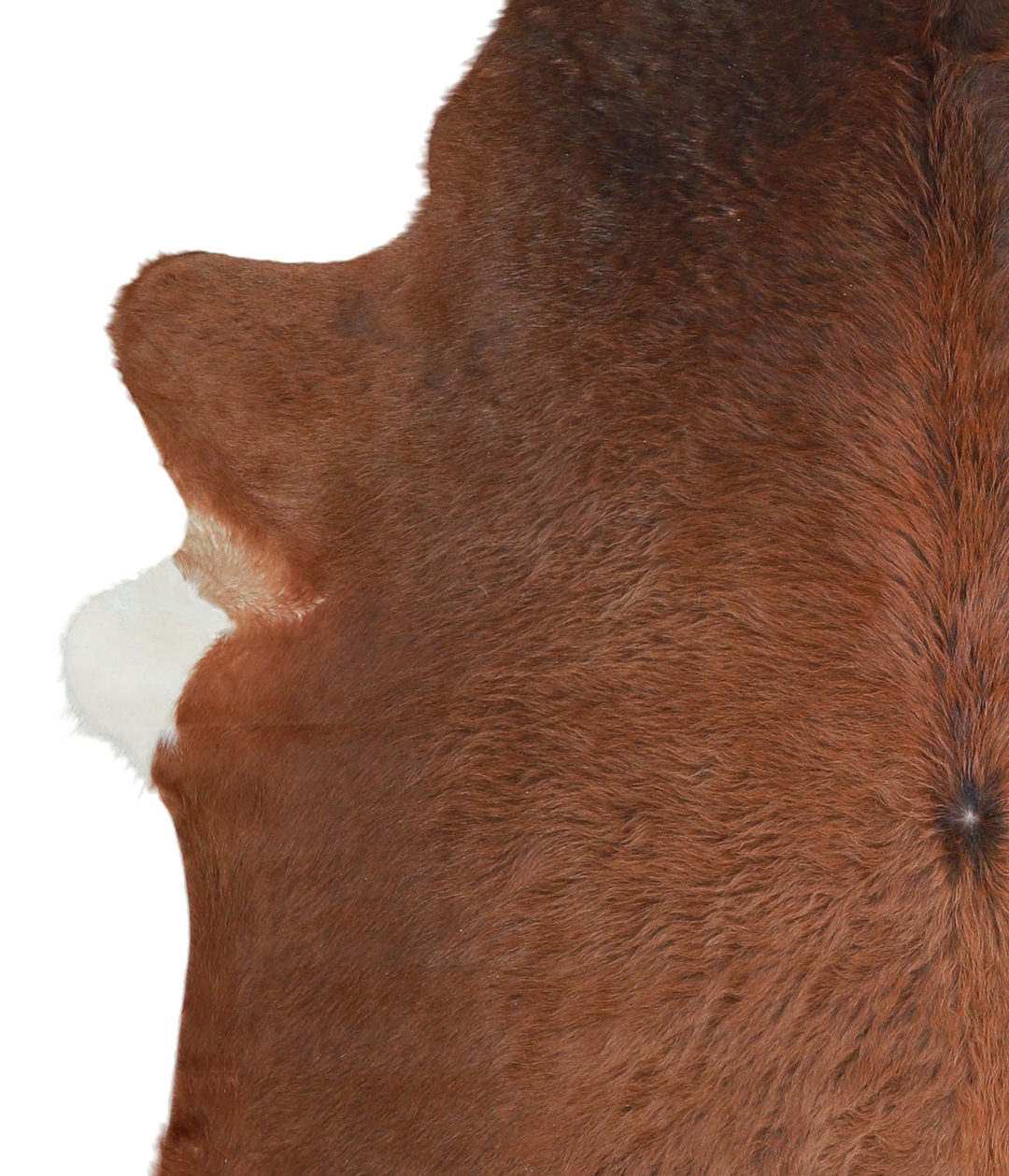 Solid Brown X-Large Brazilian Cowhide Rug 7'1"H x 6'5"W #A21198 by Hud