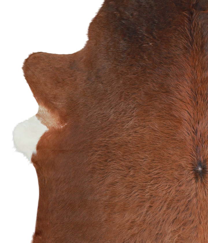 Solid Brown X-Large Brazilian Cowhide Rug 7'1"H x 6'5"W #A21198 by Hudson Hides