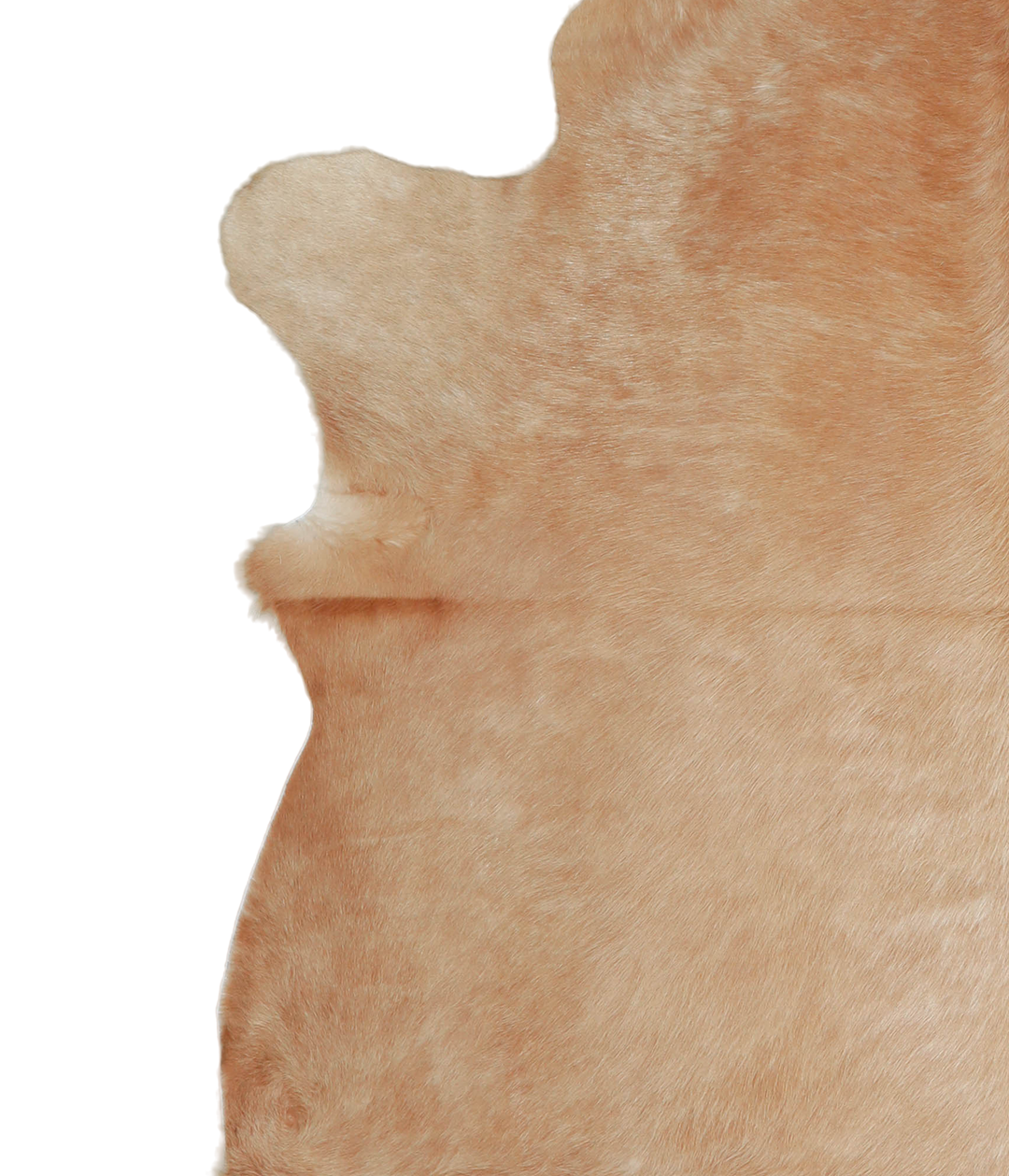 Beige XX-Large Brazilian Cowhide Rug 7'6"H x 7'0"W #A21202 by Hudson H