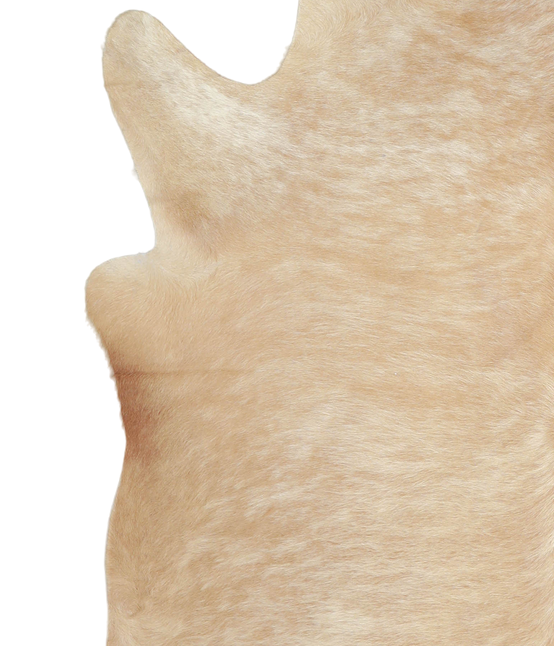 Beige X-Large Brazilian Cowhide Rug 7'0"H x 6'3"W #A21204 by Hudson Hi