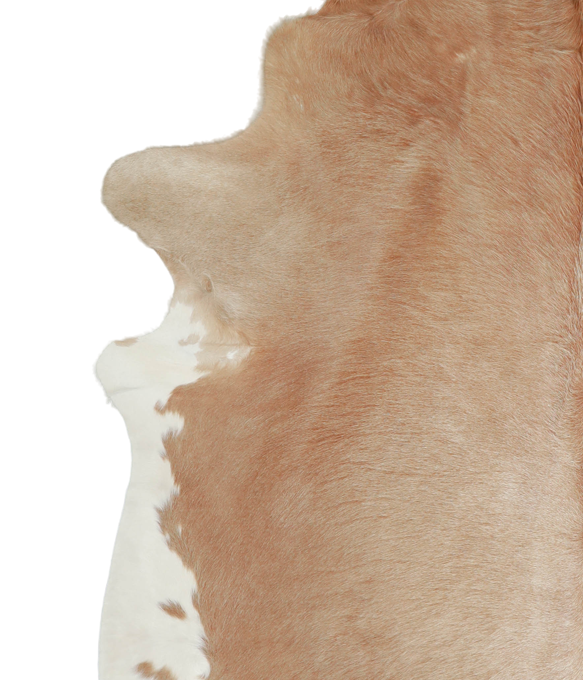 Beige XX-Large Brazilian Cowhide Rug 7'9"H x 7'2"W #A21224 by Hudson Hides