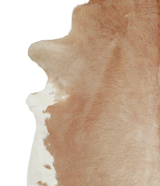 Beige XX-Large Brazilian Cowhide Rug 7'9"H x 7'2"W #A21224 by Hudson Hides