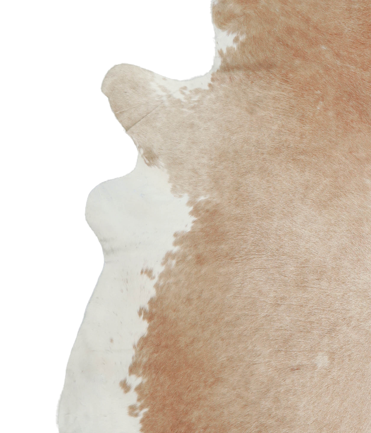 Beige and White XX-Large Brazilian Cowhide Rug 7'3"H x 7'0"W #A21228 by Hudson Hides