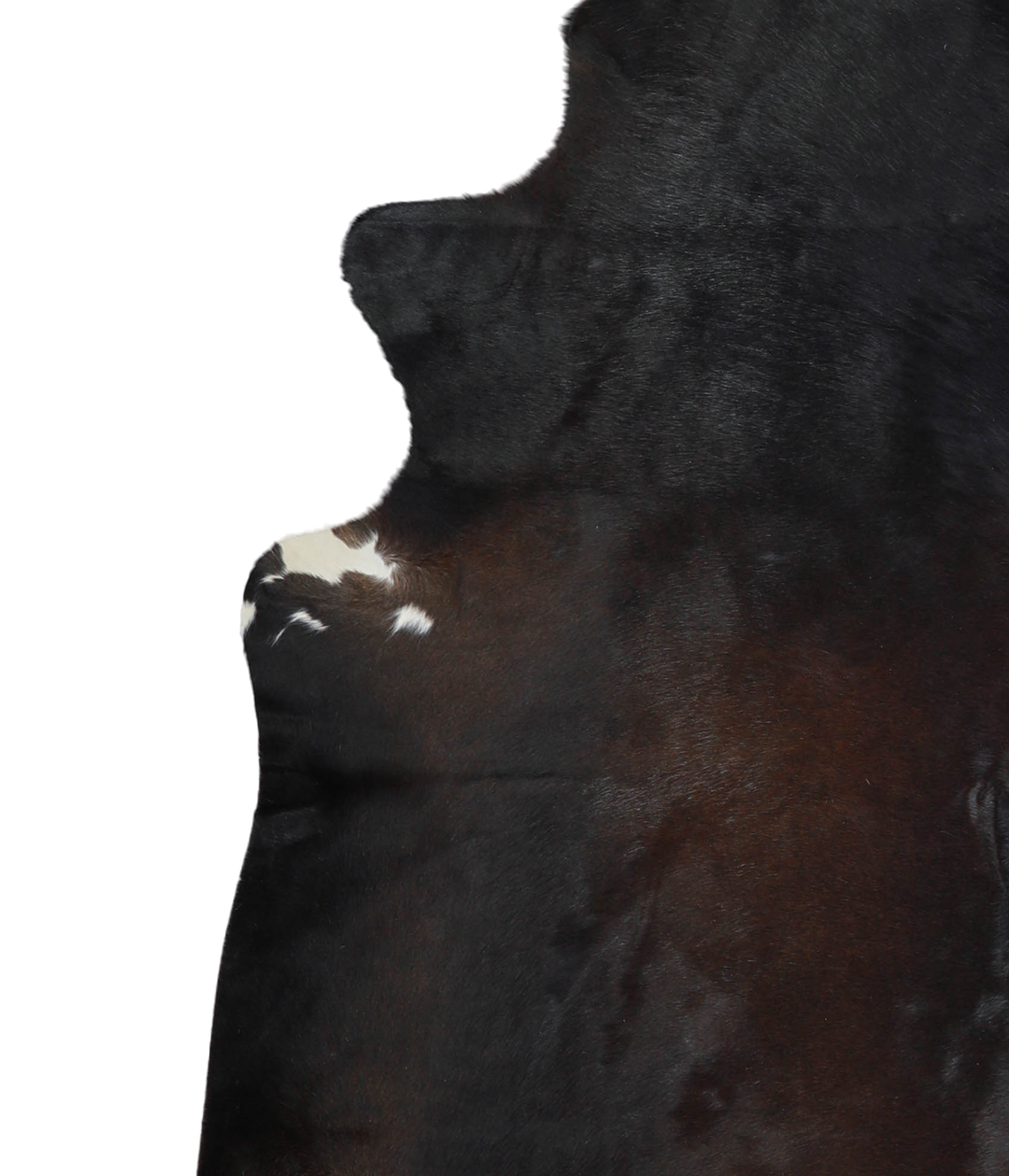 Chocolate XX-Large Brazilian Cowhide Rug 7'8"H x 6'10"W #A21235 by Hud