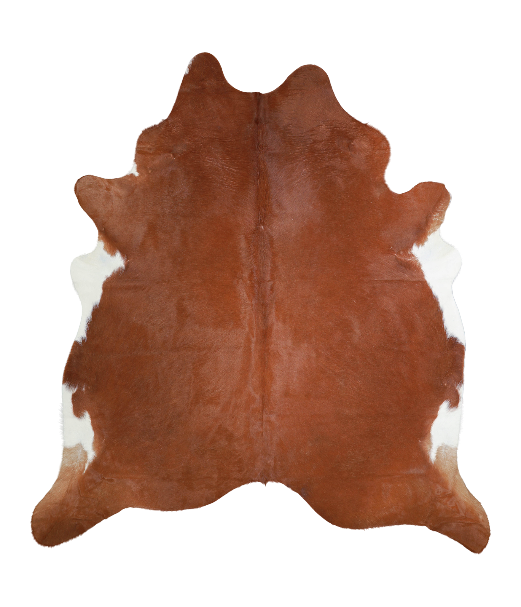 Brown and White Regular Cowhide Rug #A21236