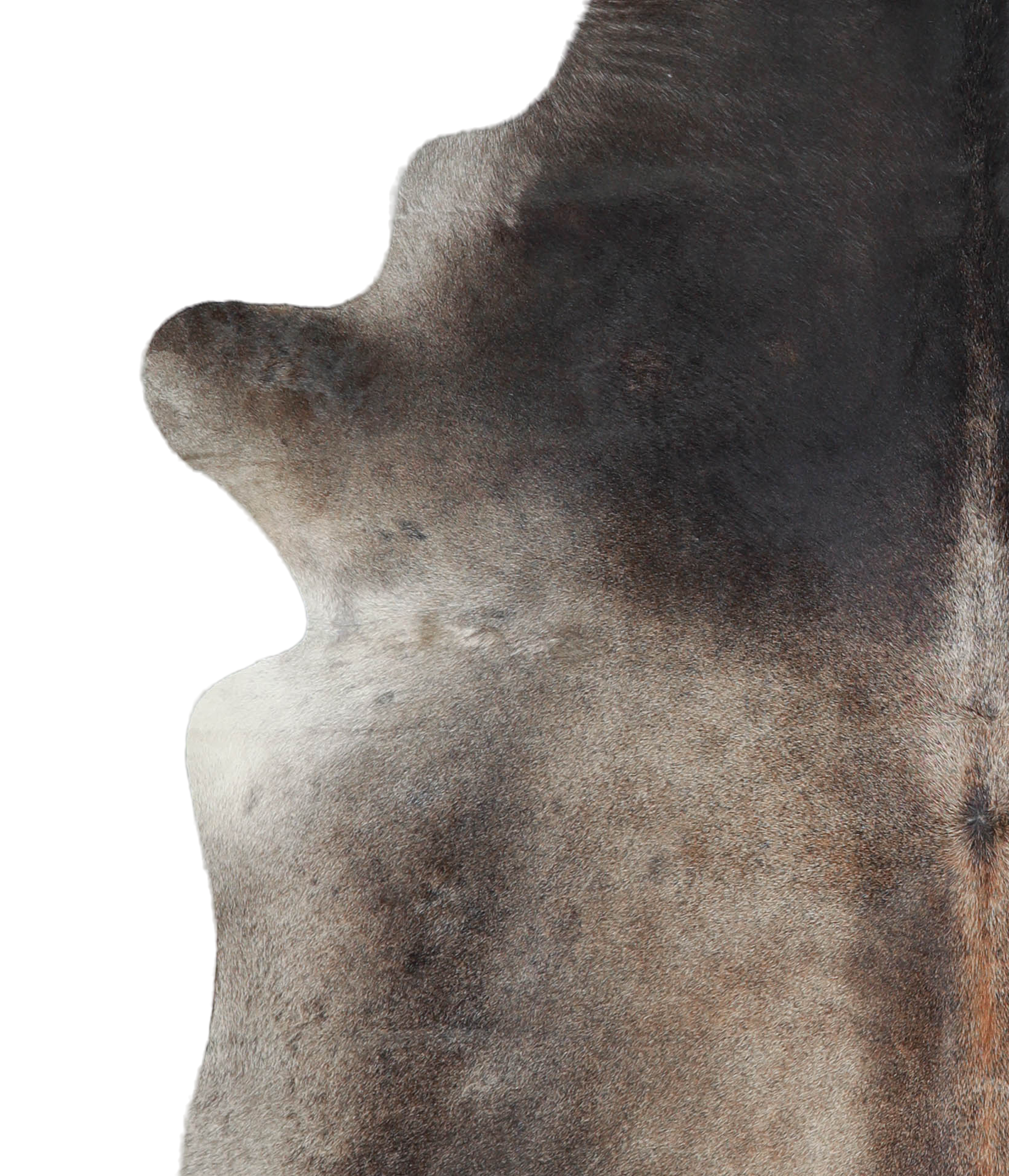 Grey with Beige Cowhide Rug #A21251