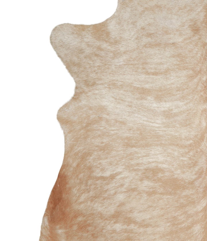 Beige XX-Large Brazilian Cowhide Rug 7'7"H x 7'1"W #A21256 by Hudson Hides