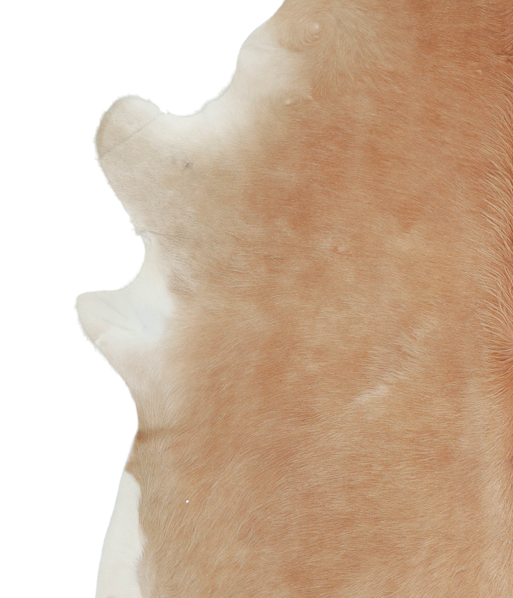 Beige XX-Large Brazilian Cowhide Rug 7'8"H x 6'7"W #A21258 by Hudson Hides