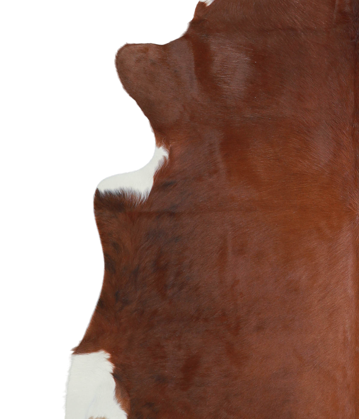 Solid Brown X-Large Brazilian Cowhide Rug 6'9"H x 6'9"W #A21265 by Hudson Hides