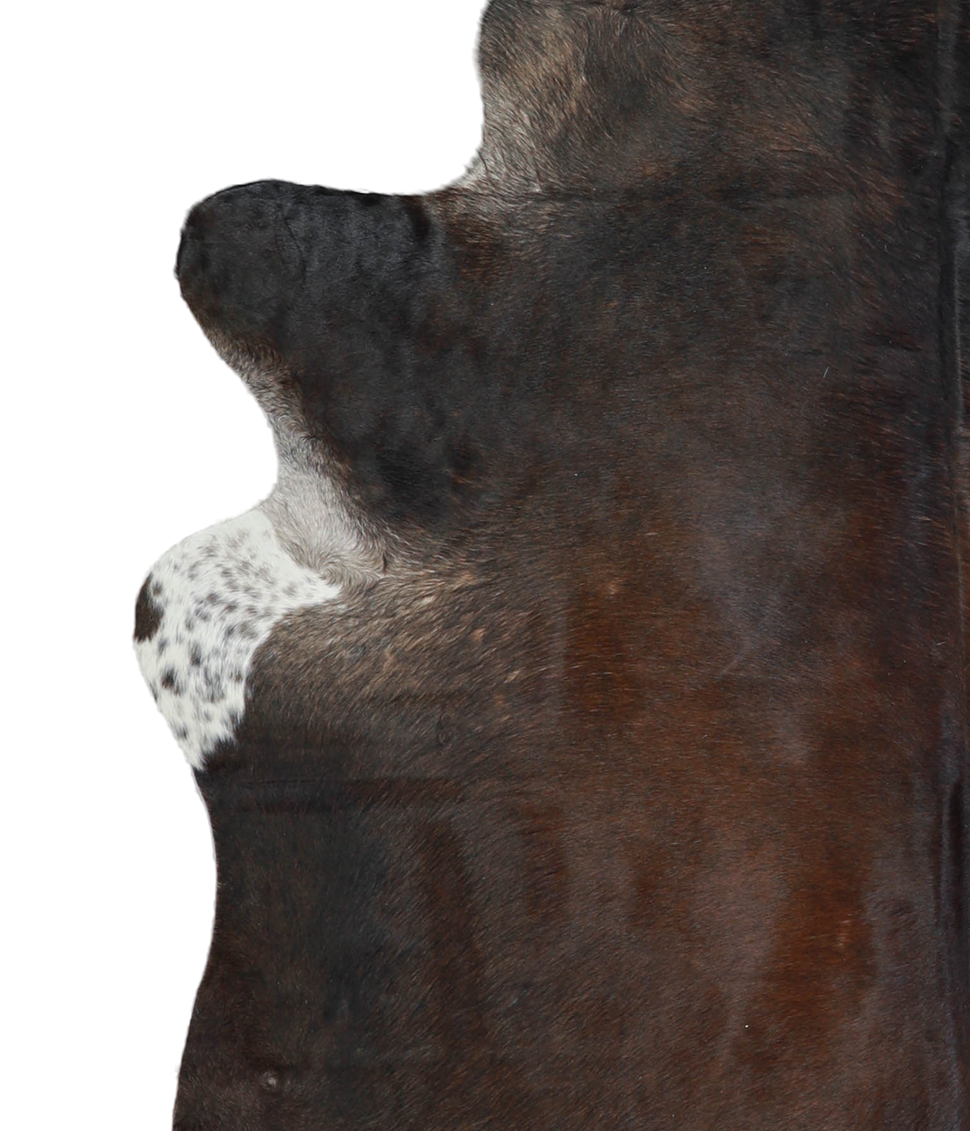 Chocolate X-Large Brazilian Cowhide Rug 7'0"H x 6'2"W #A21268 by Hudso