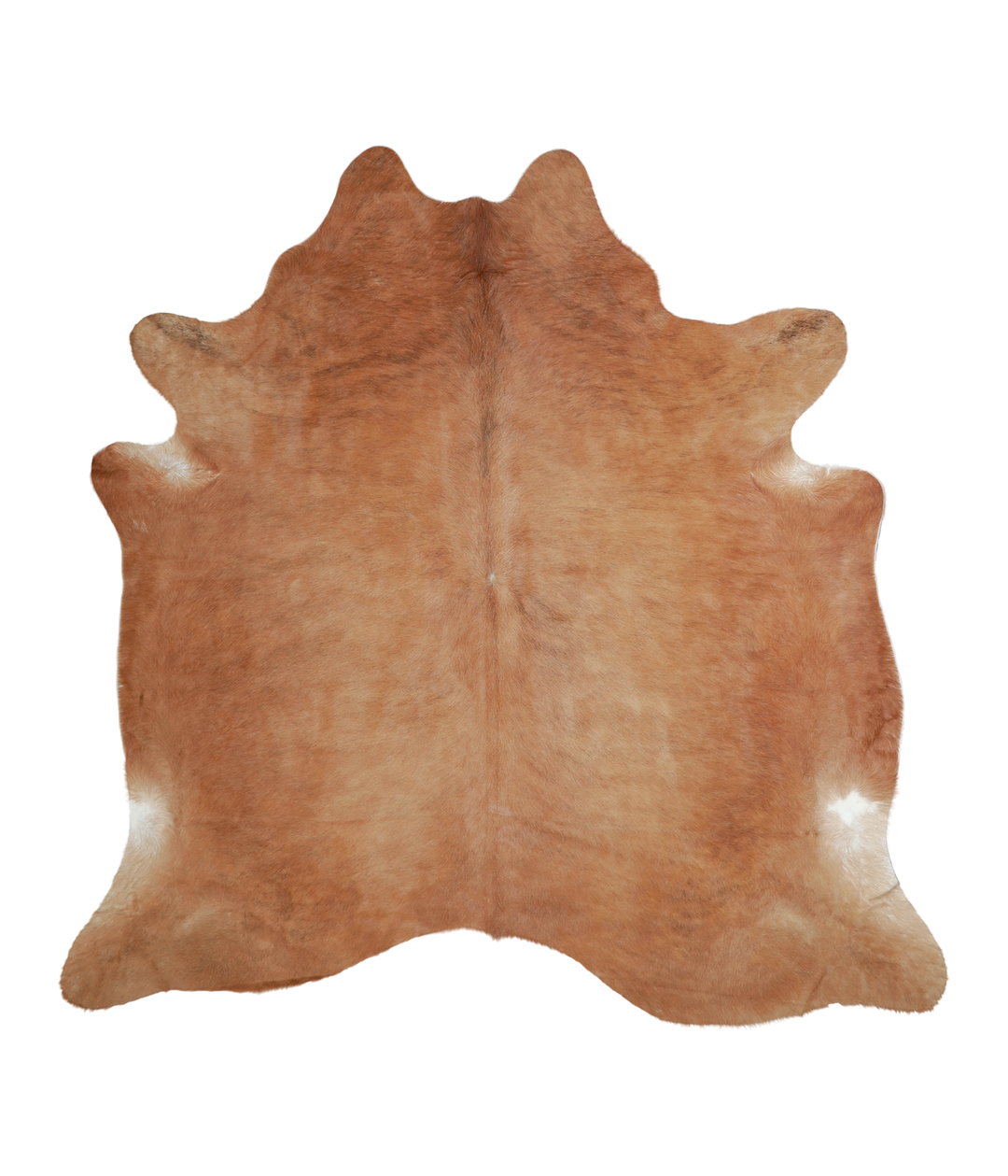 Solid Brown X-Large Brazilian Cowhide Rug 6'10"H x 6'10"W #A21282 by H