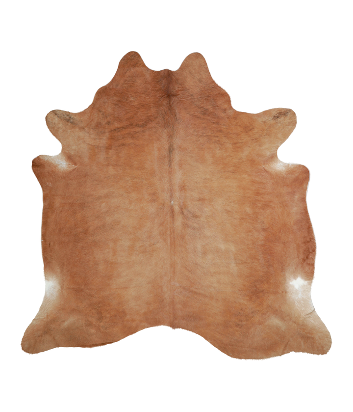 Solid Brown X-Large Brazilian Cowhide Rug 6'10"H x 6'10"W #A21282 by Hudson Hides