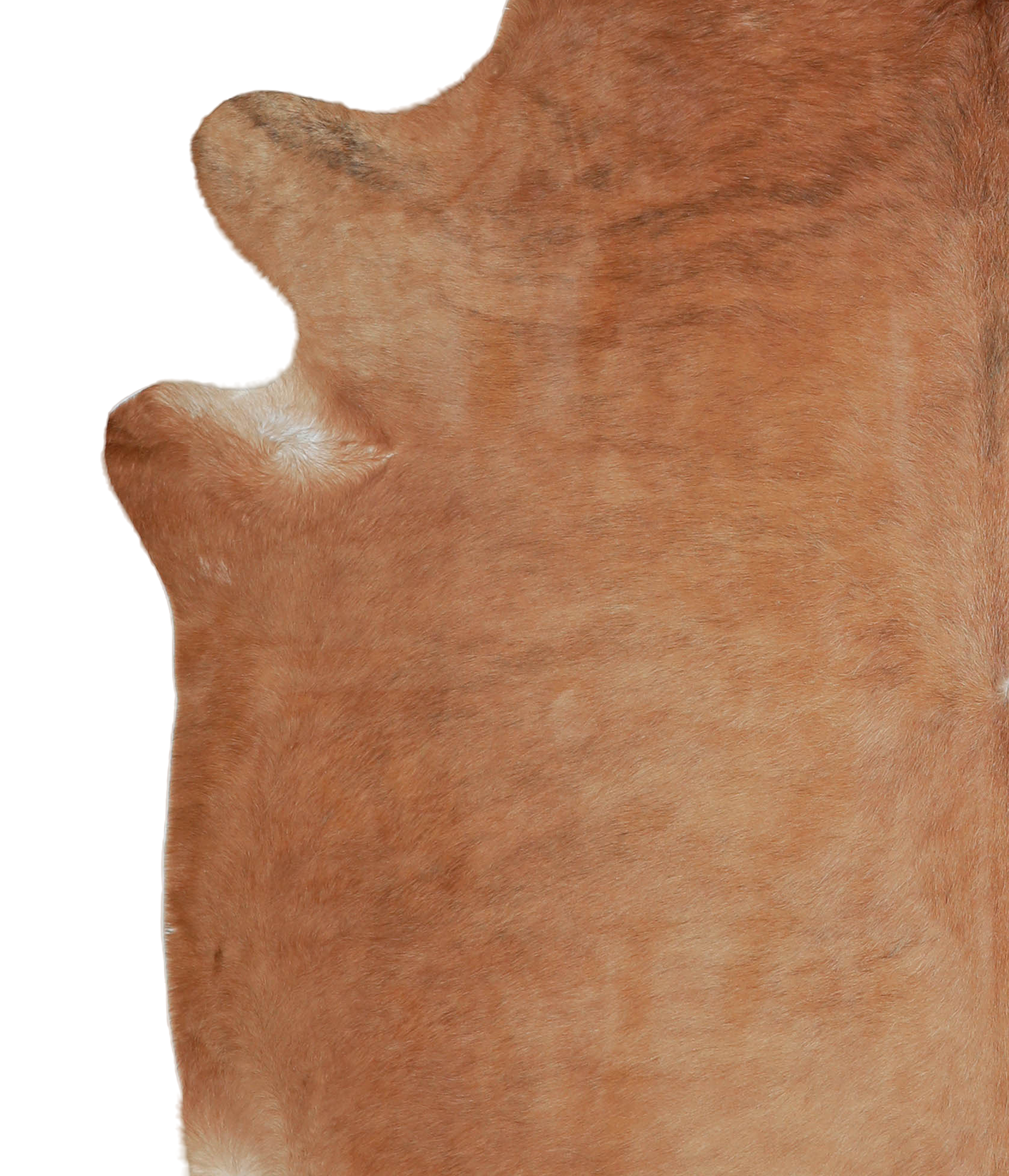 Solid Brown Cowhide Rug #A21282