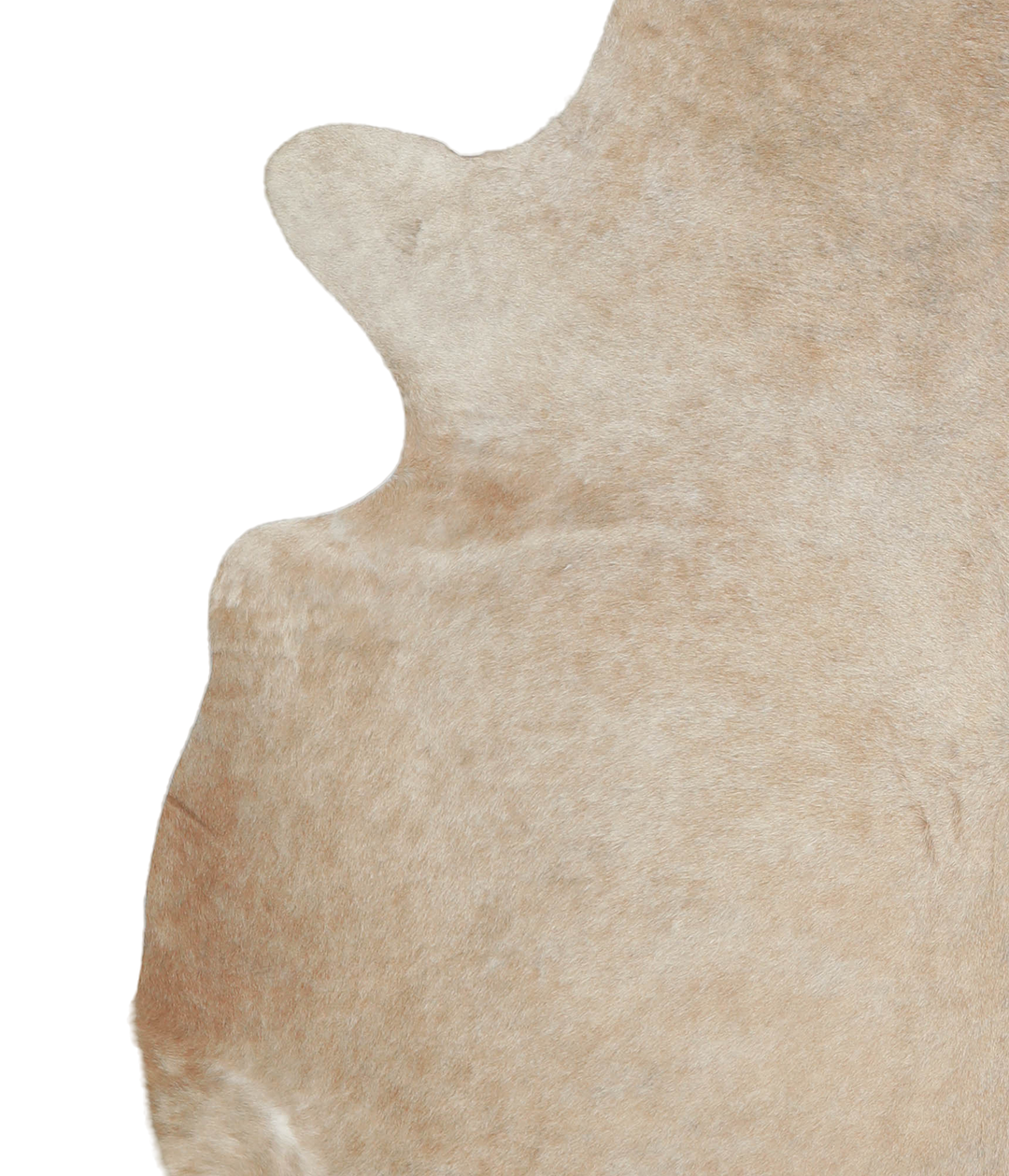 Beige XX-Large Brazilian Cowhide Rug 7'6"H x 7'0"W #A21289 by Hudson H