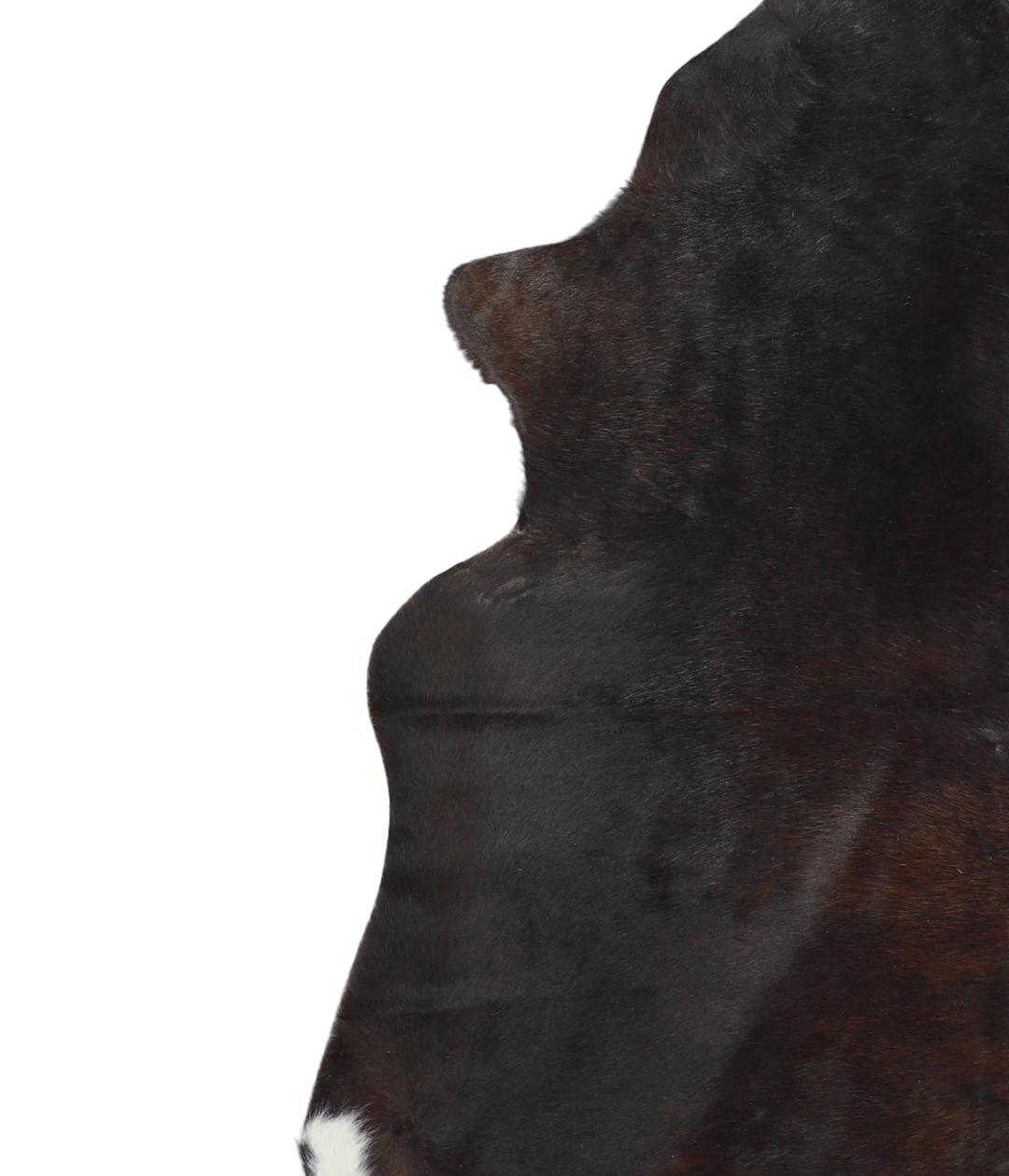 Chocolate XX-Large Brazilian Cowhide Rug 7'5"H x 6'11"W #A21290 by Hud