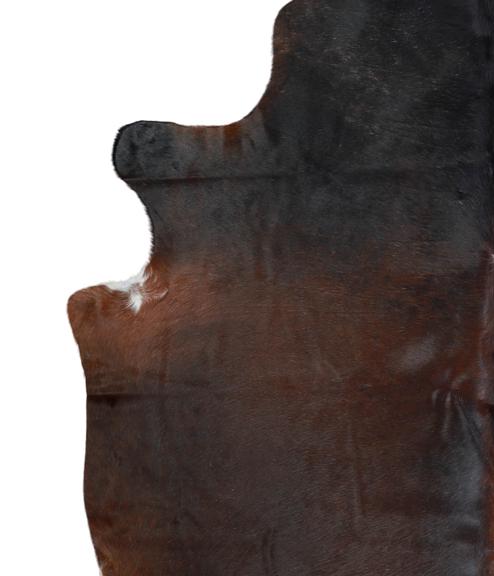 Chocolate XX-Large Brazilian Cowhide Rug 7'7"H x 6'8"W #A21318 by Hudson Hides