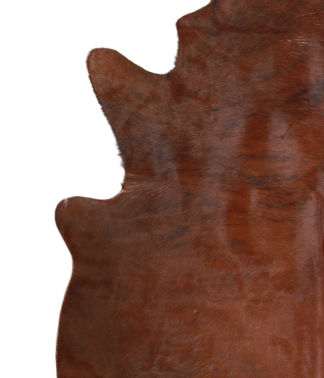 Medium Brindle X-Large Brazilian Cowhide Rug 6'7"H x 6'1"W #A21328 by 