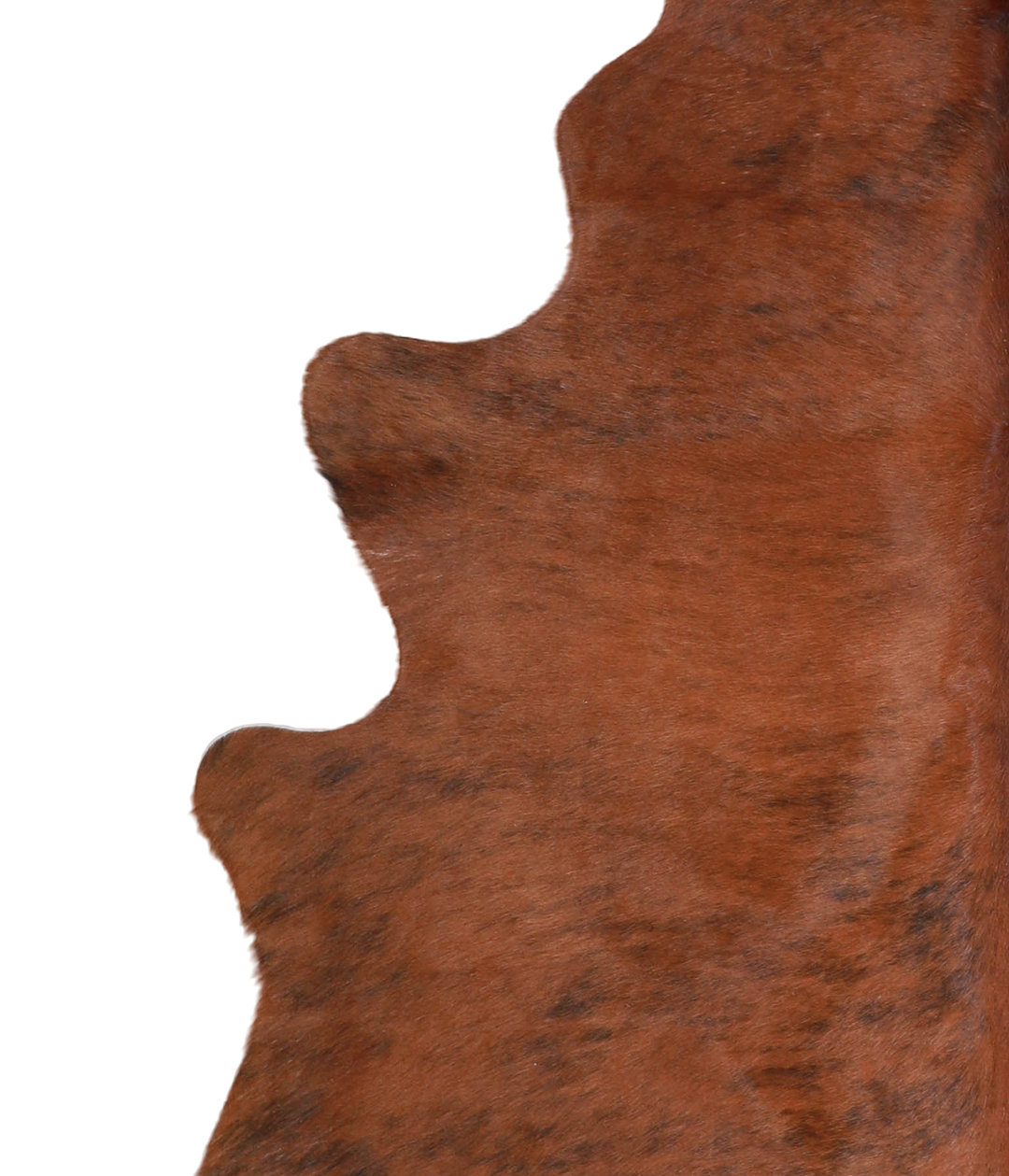 Medium Brindle X-Large Brazilian Cowhide Rug 7'1"H x 6'3"W #A21335 by 