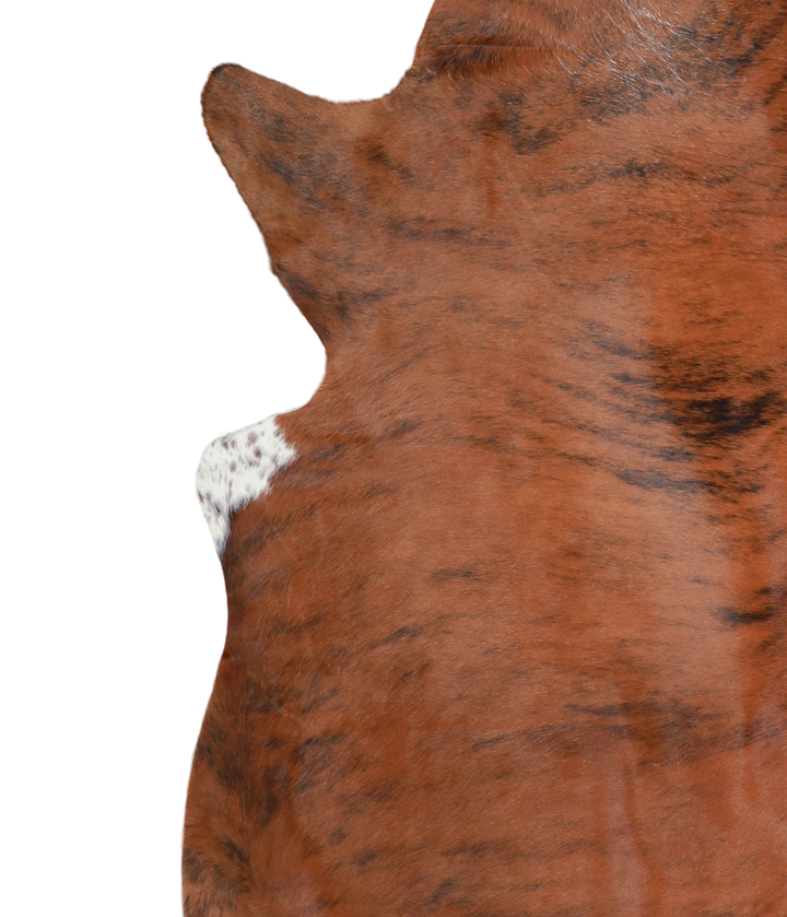 Medium Brindle X-Large Brazilian Cowhide Rug 6'11"H x 6'6"W #A21337 by Hudson Hides