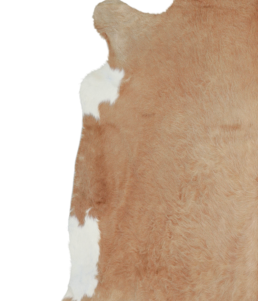 Beige XX-Large Brazilian Cowhide Rug 7'4"H x 7'10"W #A21340 by Hudson 