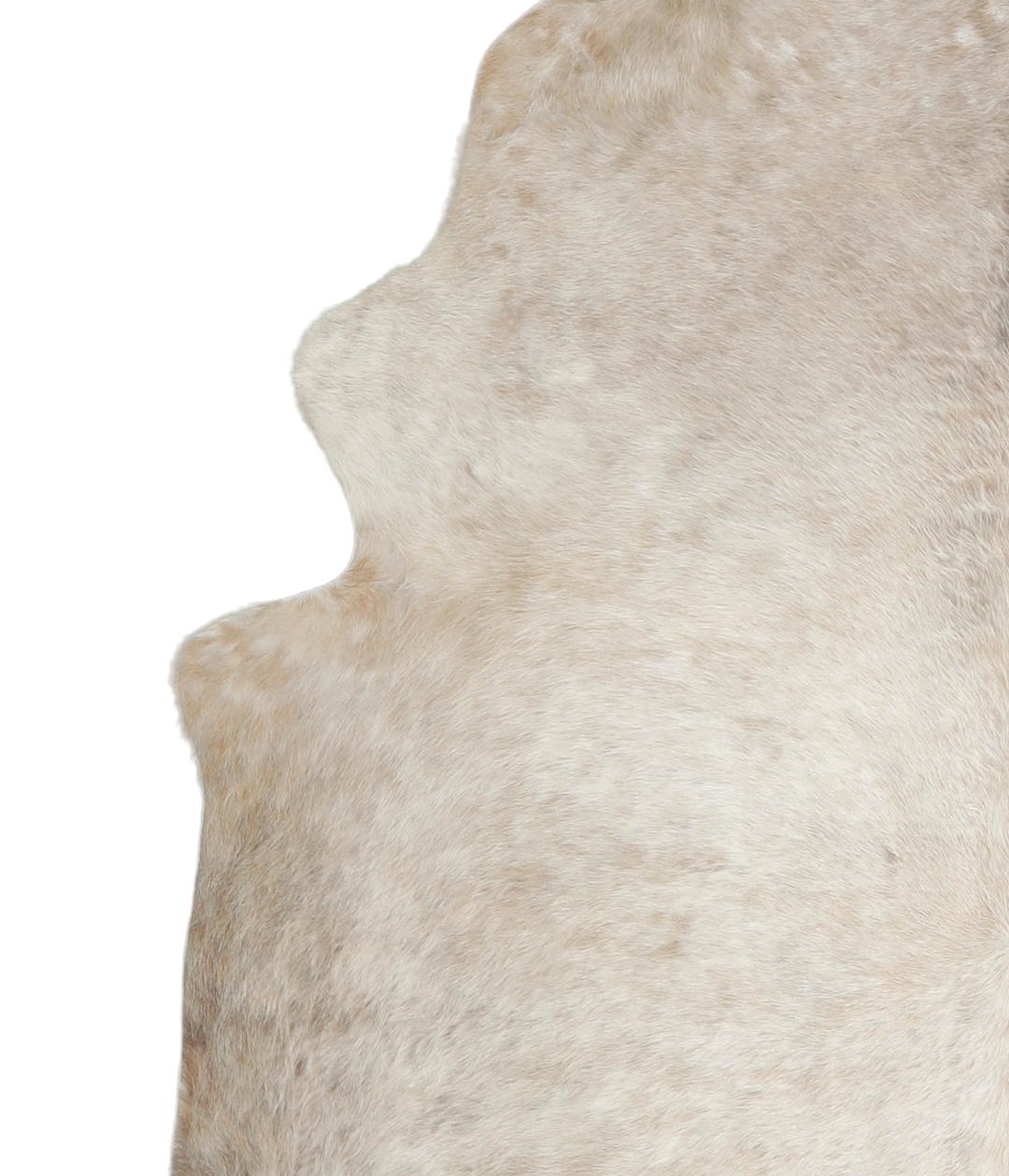 Champagne X-Large Brazilian Cowhide Rug 7'1"H x 6'4"W #A21342 by Hudso