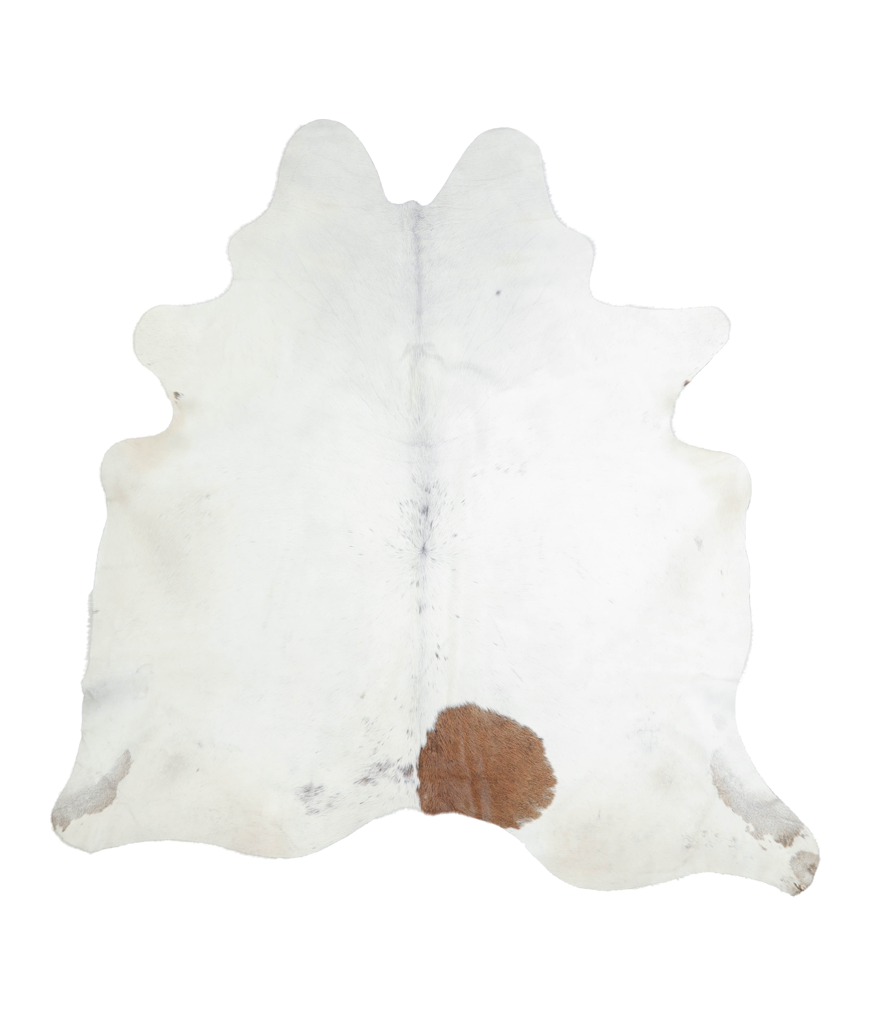 Brown and White Regular Cowhide Rug #A21346