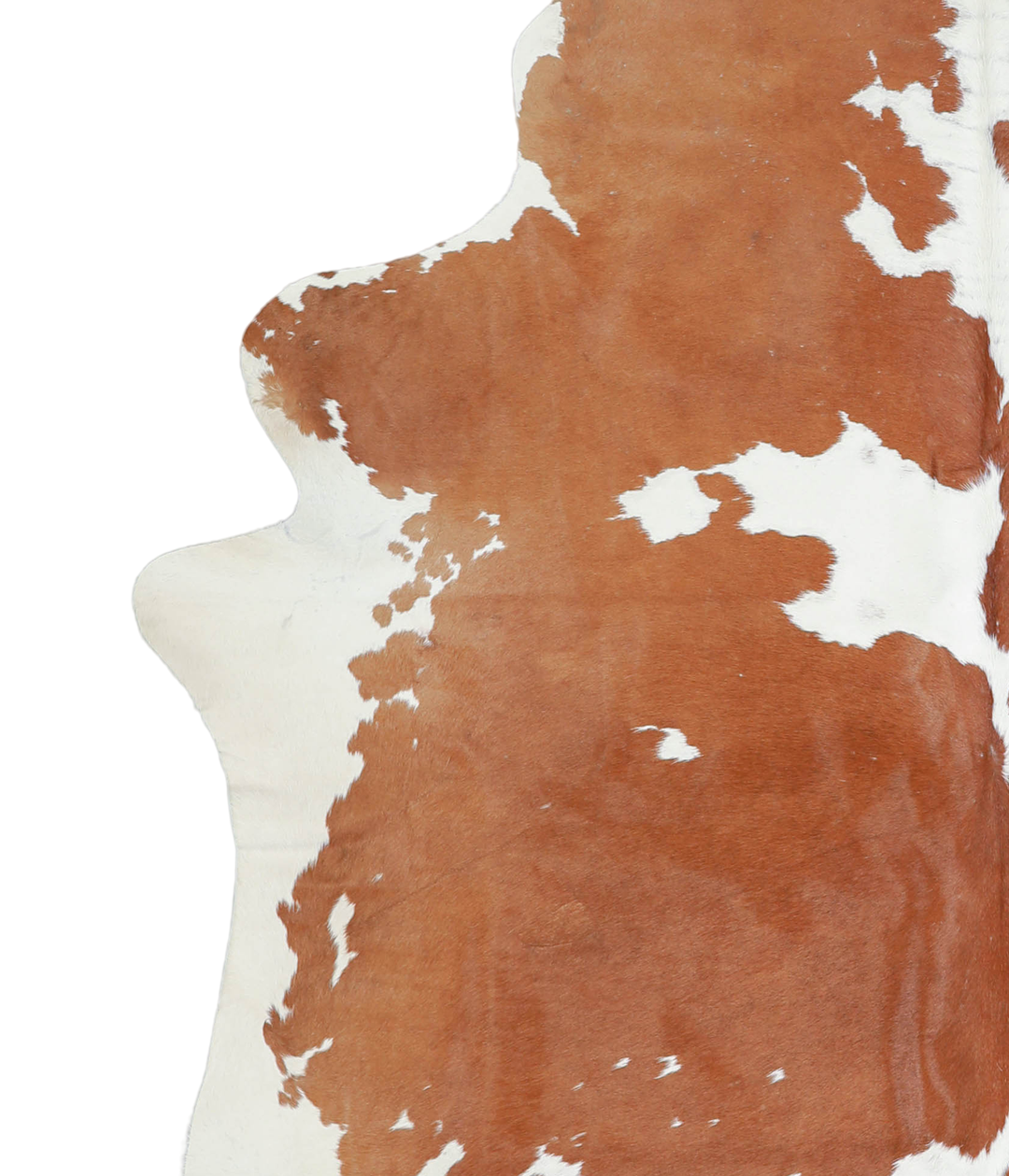 Brown and White X-Large Brazilian Cowhide Rug 7'2"H x 6'9"W #A21355 by