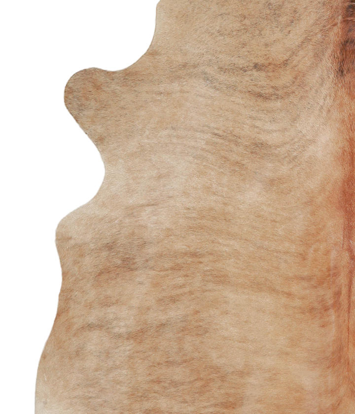 Medium Brindle X-Large Brazilian Cowhide Rug 7'0"H x 6'3"W #A21415 by Hudson Hides
