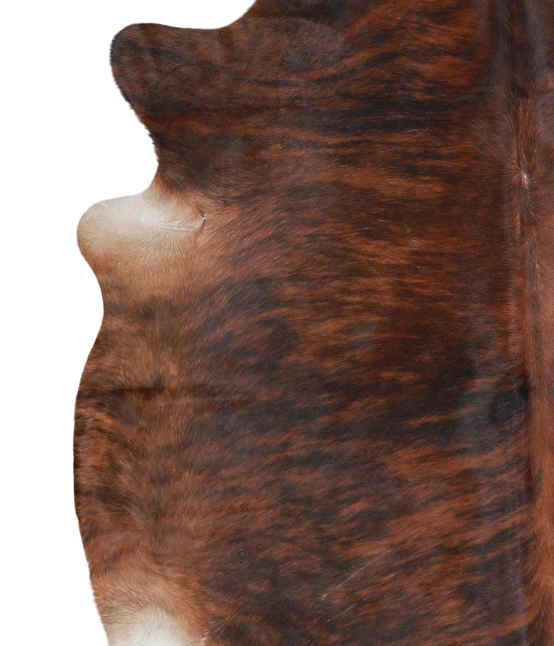 Medium Brindle X-Large Brazilian Cowhide Rug 6'7"H x 6'5"W #A21418 by 