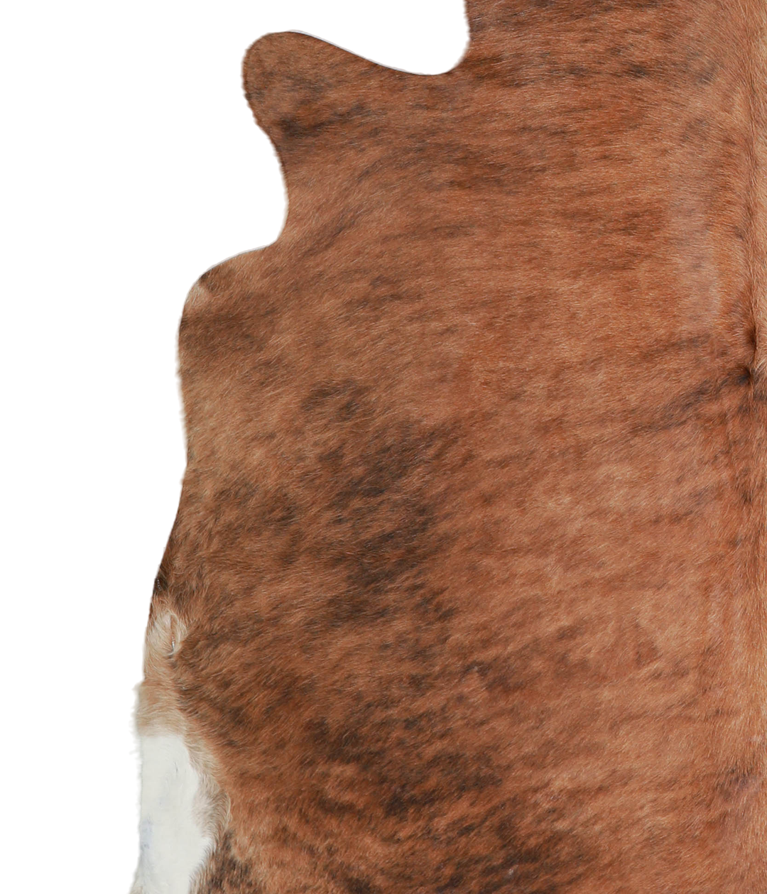 Medium Brindle X-Large Brazilian Cowhide Rug 6'1"H x 6'9"W #A21419 by 