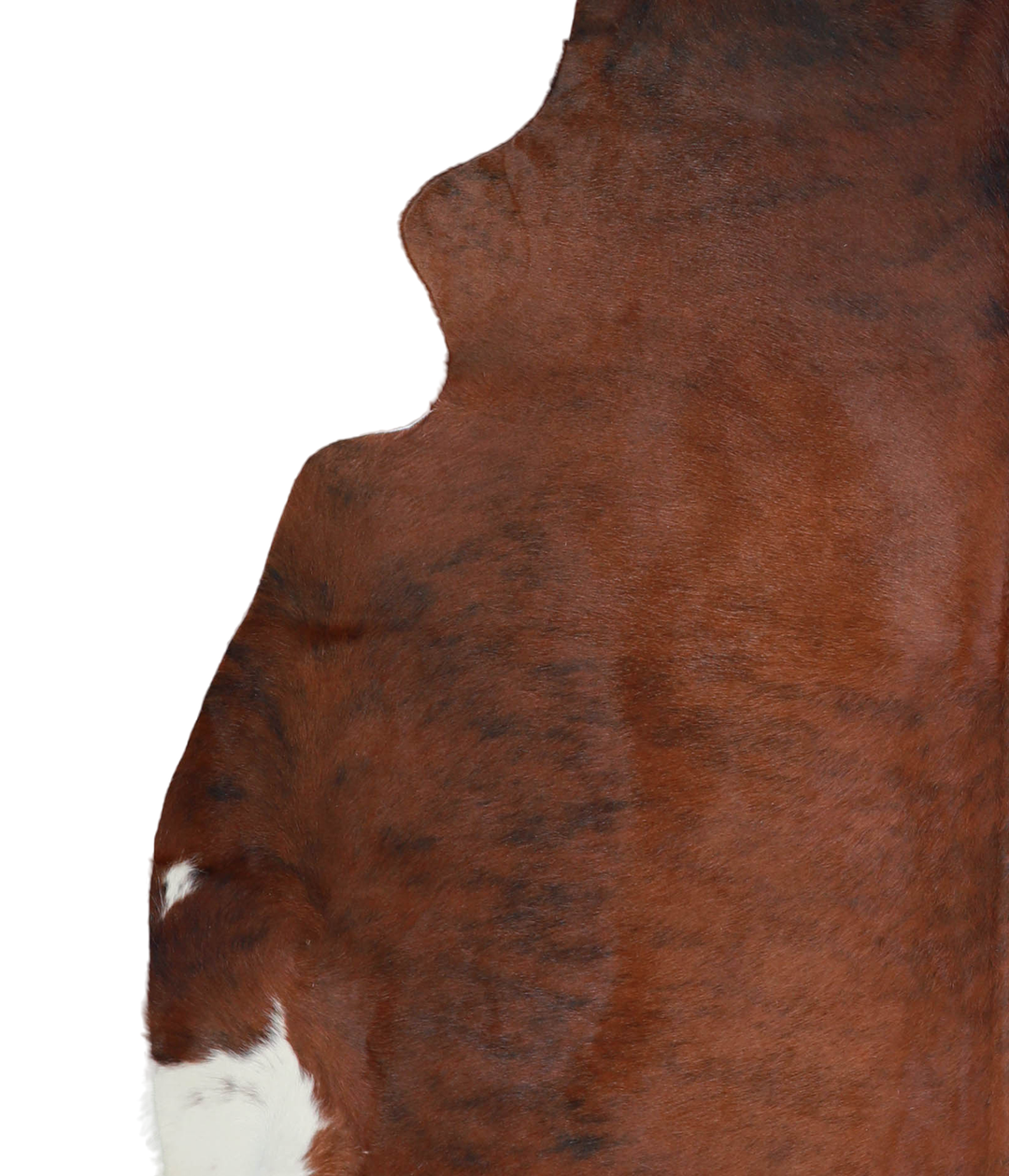 Medium Brindle X-Large Brazilian Cowhide Rug 6'8"H x 6'7"W #A21453 by 