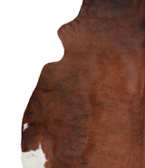 Medium Brindle X-Large Brazilian Cowhide Rug 6'8"H x 6'7"W #A21453 by Hudson Hides