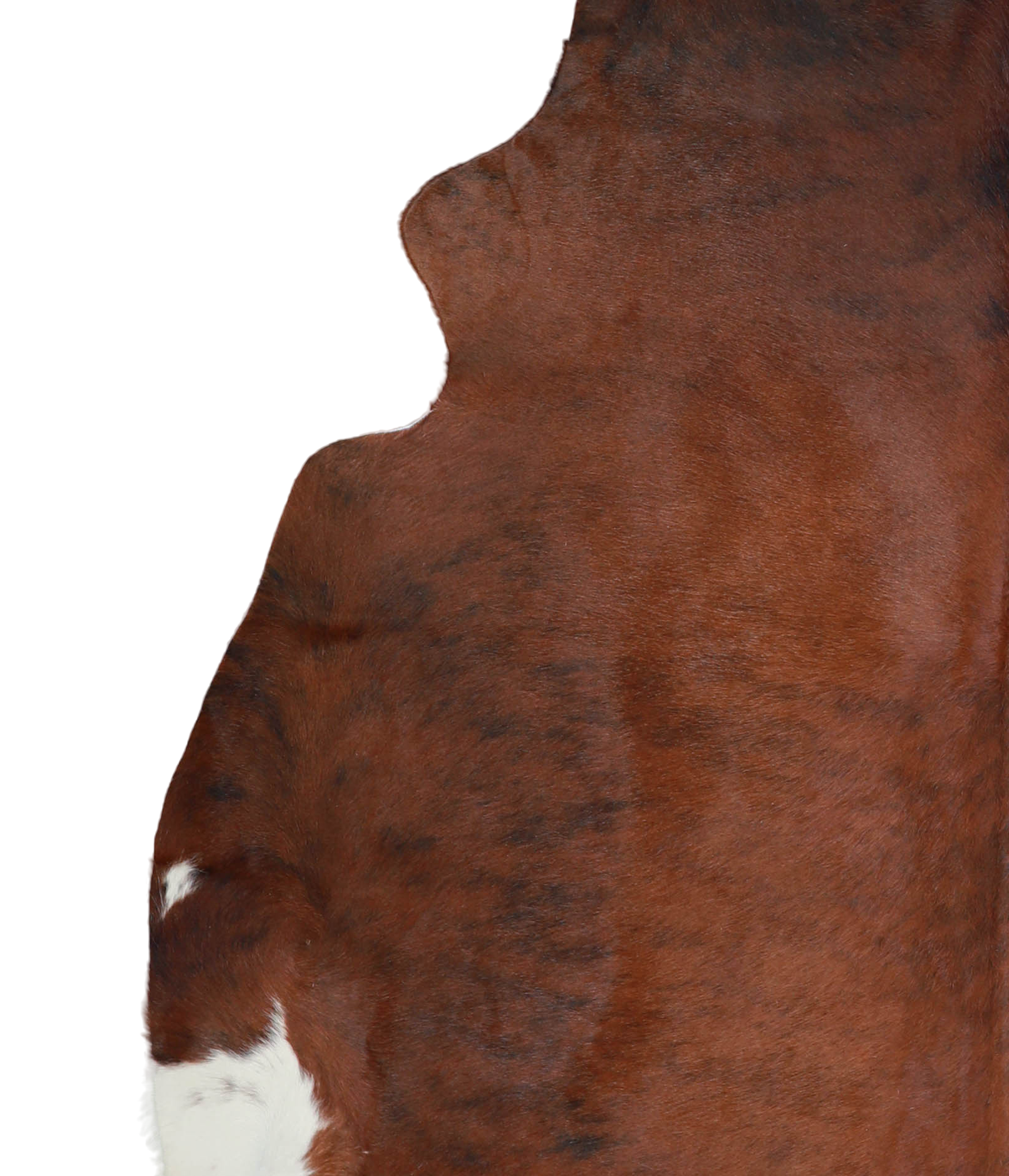 Medium Brindle Cowhide Rug #A21453