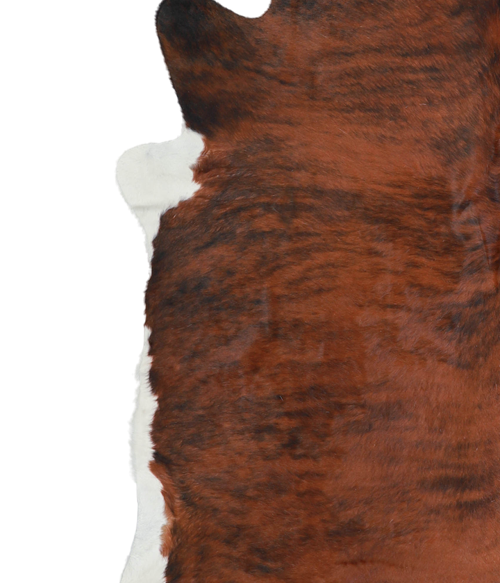 Medium Brindle X-Large Brazilian Cowhide Rug 6'4"H x 6'11"W #A21467 by Hudson Hides