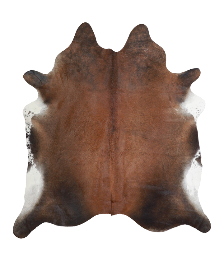 Warm Caramel X-Large Brazilian Cowhide Rug 7'3"H x 6'7"W #A21504 by Hudson Hides