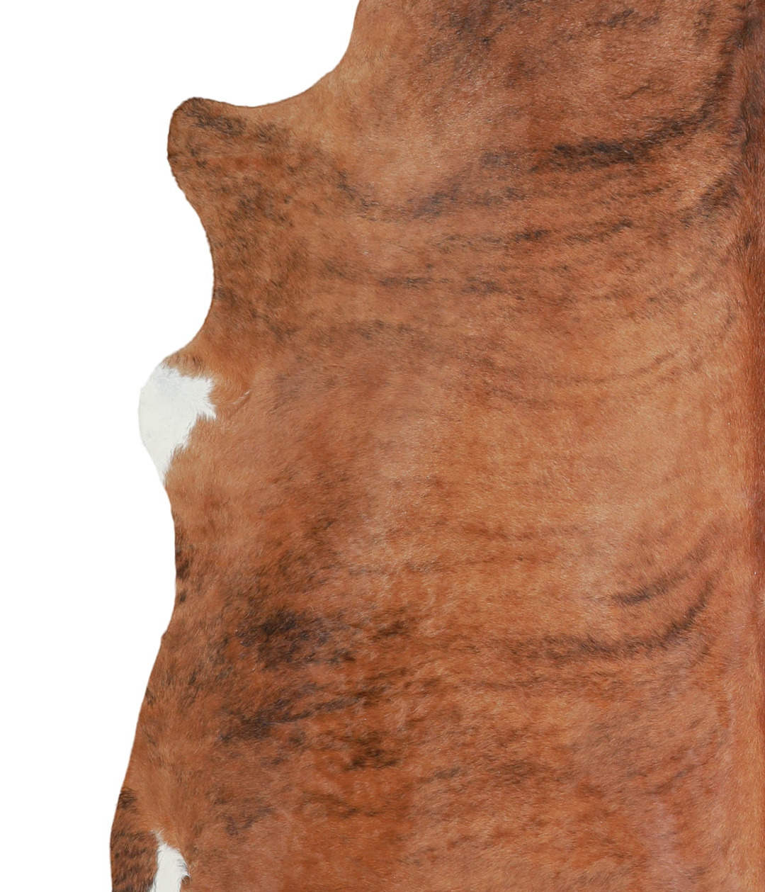 Medium Brindle X-Large Brazilian Cowhide Rug 7'3"H x 6'9"W #A21533 by 