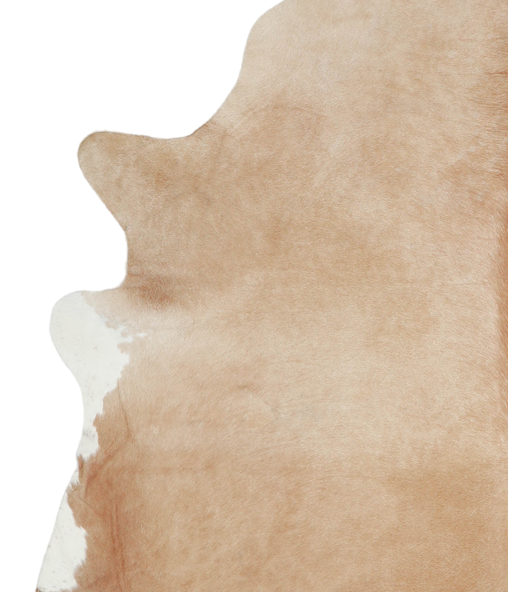 Beige X-Large Brazilian Cowhide Rug 6'11"H x 6'3"W #A21539 by Hudson Hides