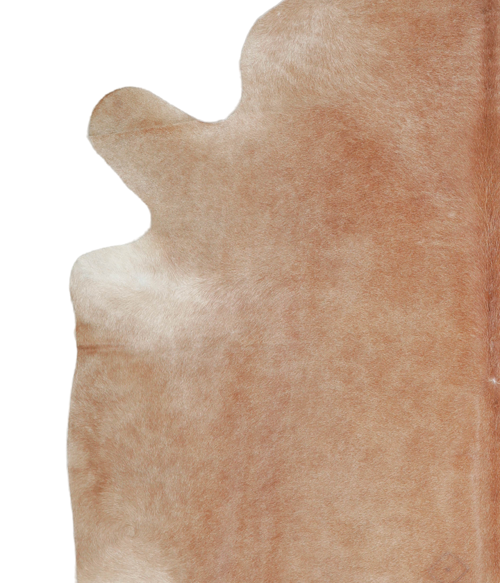 Beige XX-Large Brazilian Cowhide Rug 7'11"H x 7'8"W #A21553 by Hudson Hides