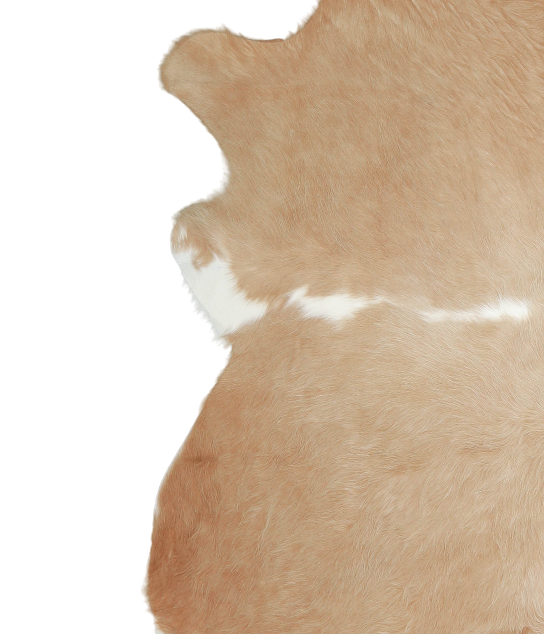 Beige XX-Large Brazilian Cowhide Rug 7'2"H x 6'11"W #A21579 by Hudson 