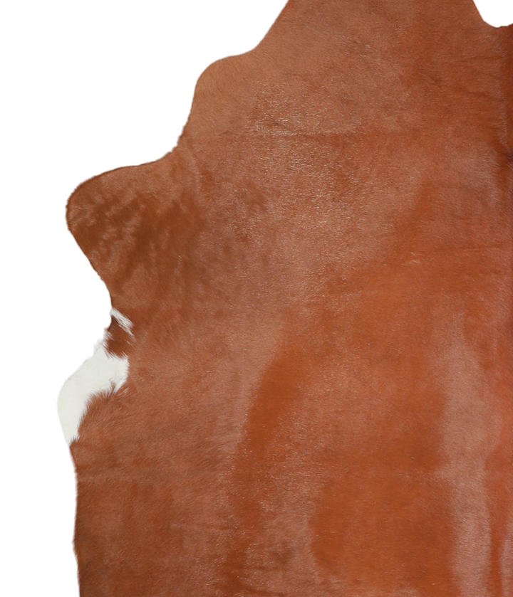 Brown and White Large Brazilian Cowhide Rug 7'0"H x 5'7"W #A21588 by Hudson Hides