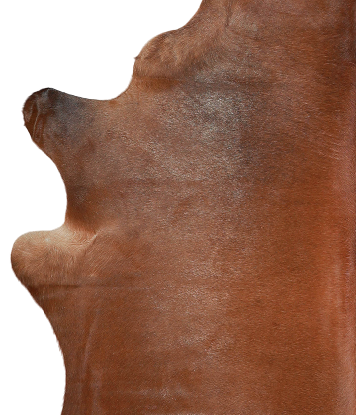 Solid Brown X-Large Brazilian Cowhide Rug 7'0"H x 5'10"W #A21612 by Hudson Hides