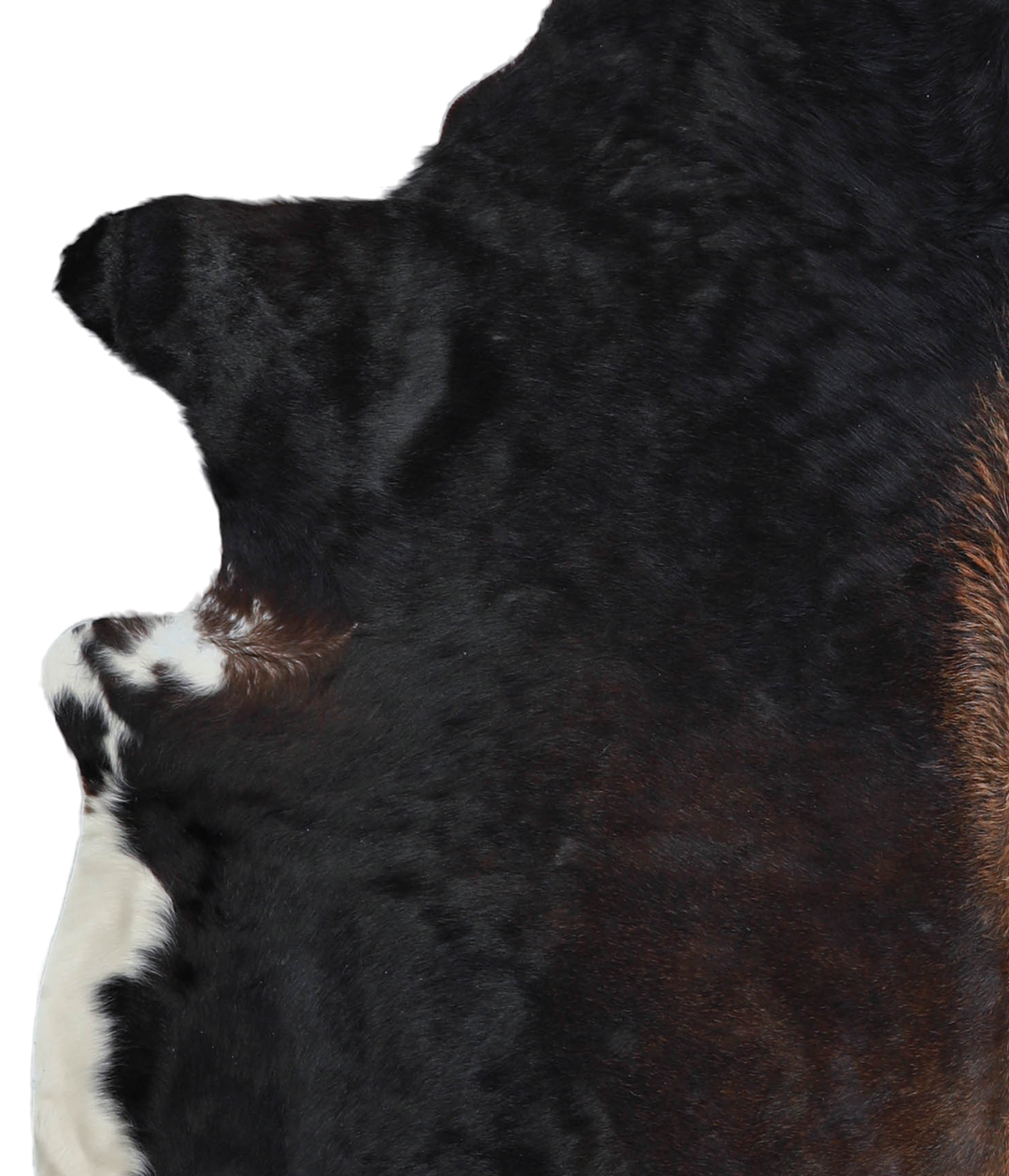 Chocolate X-Large Brazilian Cowhide Rug 6'10"H x 6'0"W #A21620 by Huds