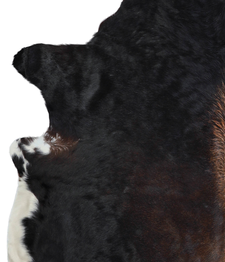 Chocolate X-Large Brazilian Cowhide Rug 6'10"H x 6'0"W #A21620 by Hudson Hides