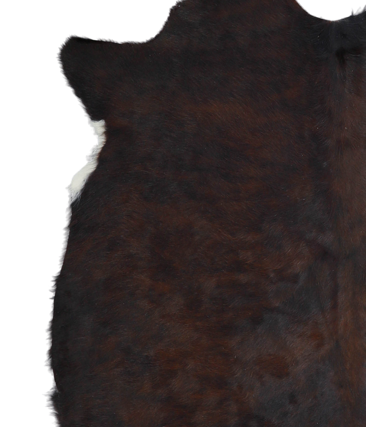 Chocolate Large Brazilian Cowhide Rug 6'1"H x 5'11"W #A21622 by Hudson Hides