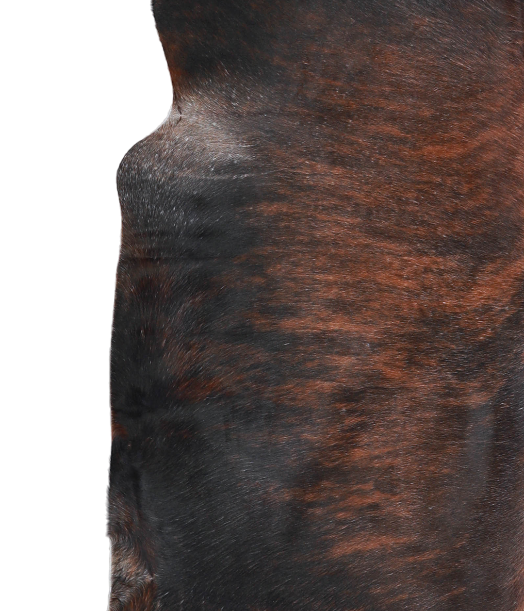 Dark Brindle X-Large Brazilian Cowhide Rug 6'3"H x 6'6"W #A21631 by Hu