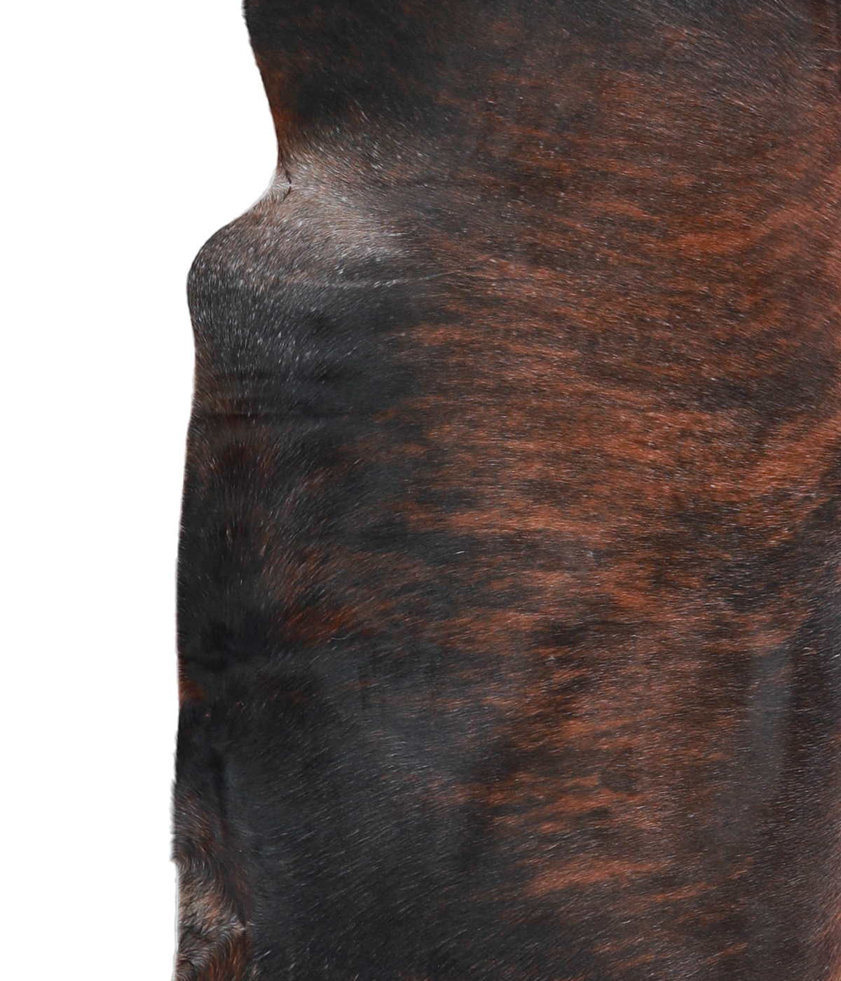 Dark Brindle Cowhide Rug #A21631